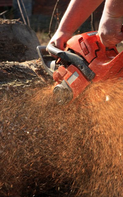 tools-img-saw-1