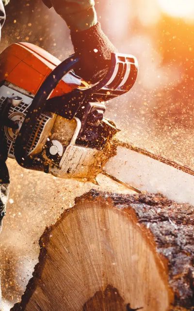tools-img-saw-2